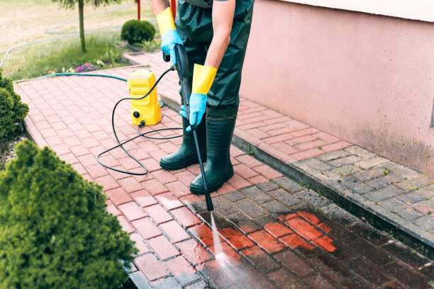 Best House Exterior Washing  in Wanatah, IN